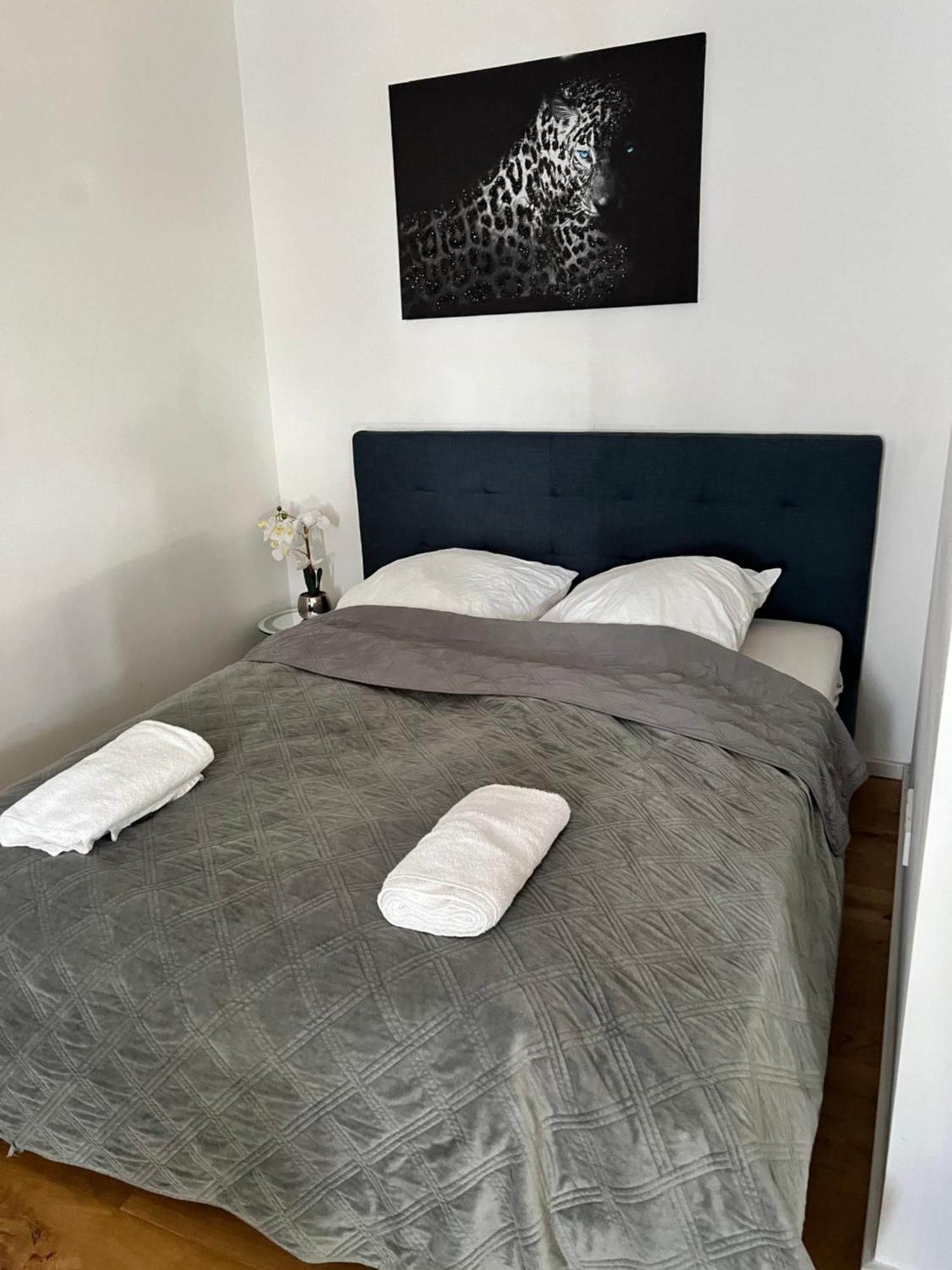 Cologne City Apartment Kostenlose Parkplatz Free Parking Eksteriør bilde